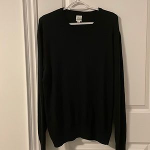 GAP V neck Extra Fine Wool Sweater